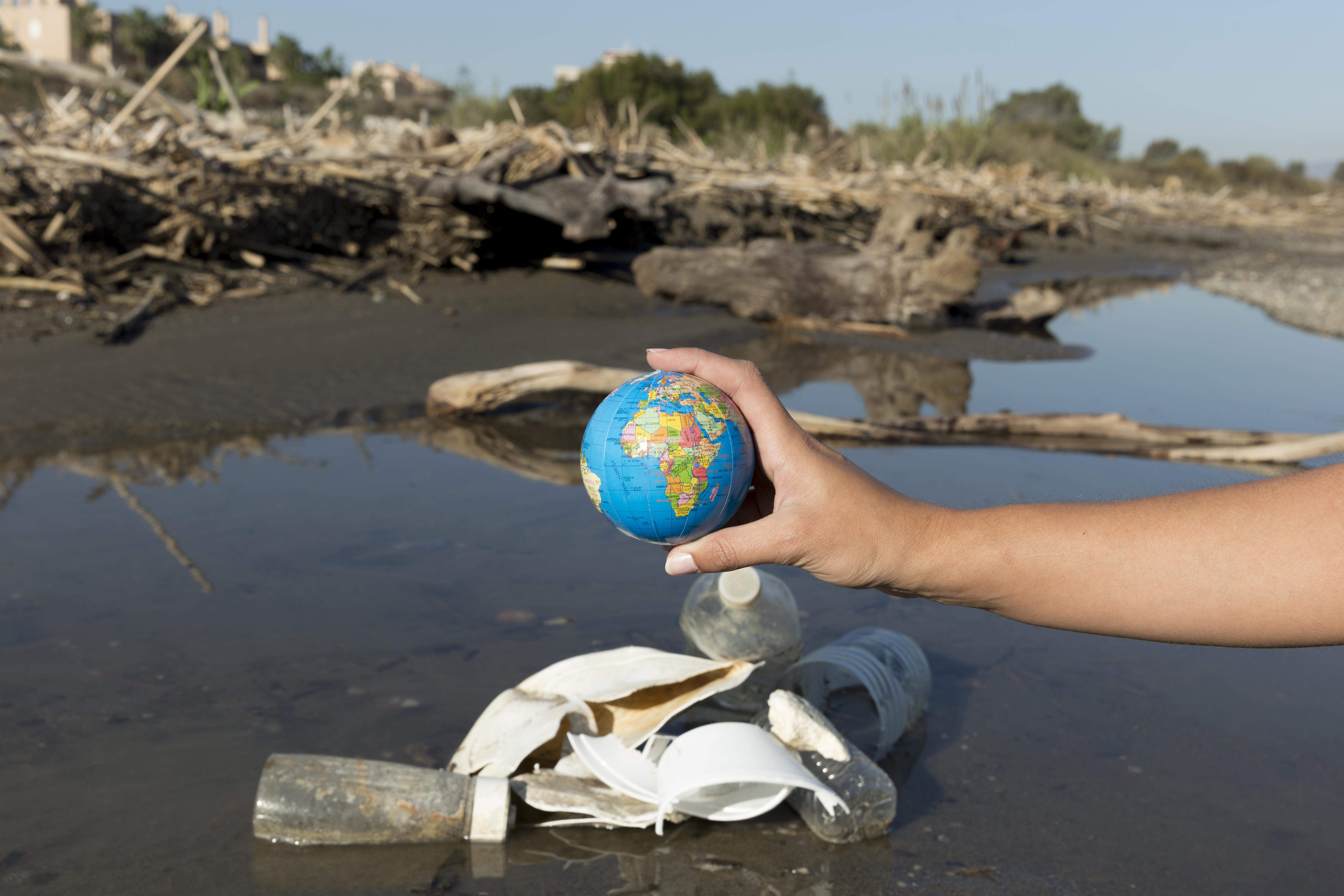 Saneamento Ecológico